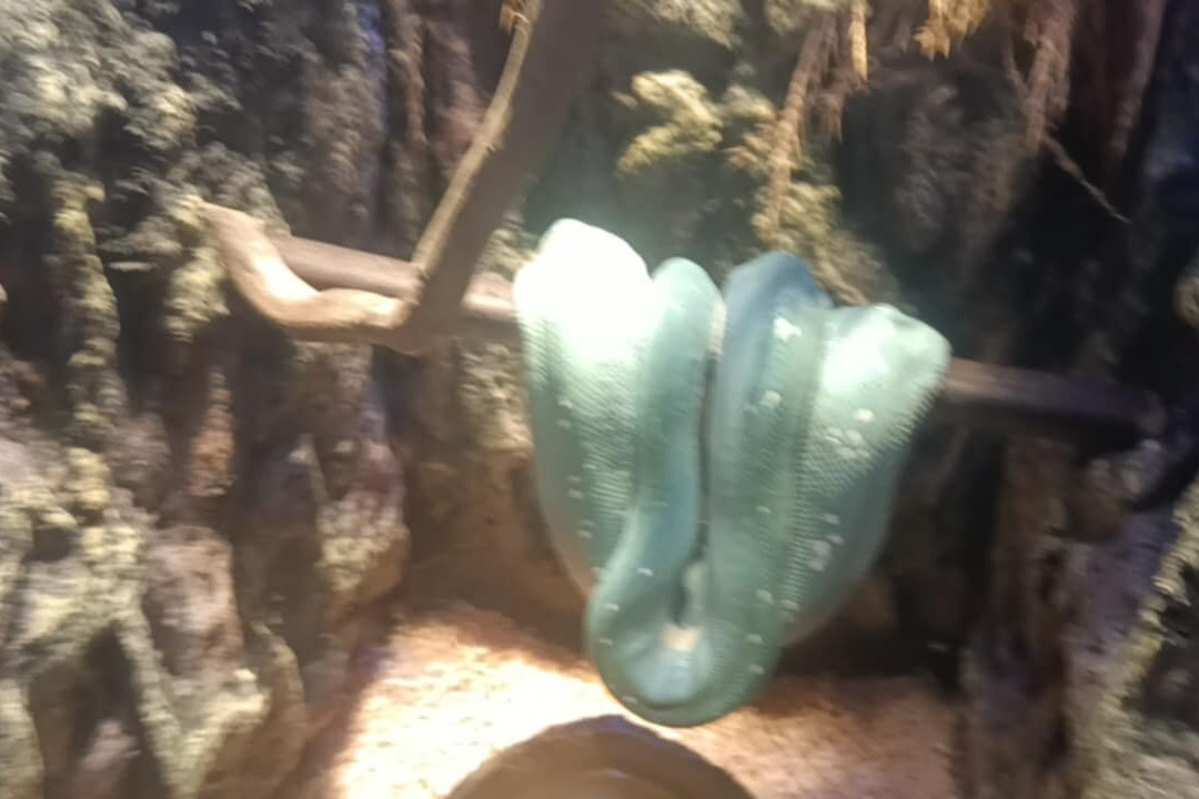 Cebu Ocean Park - Cebu-宿雾市必去景点