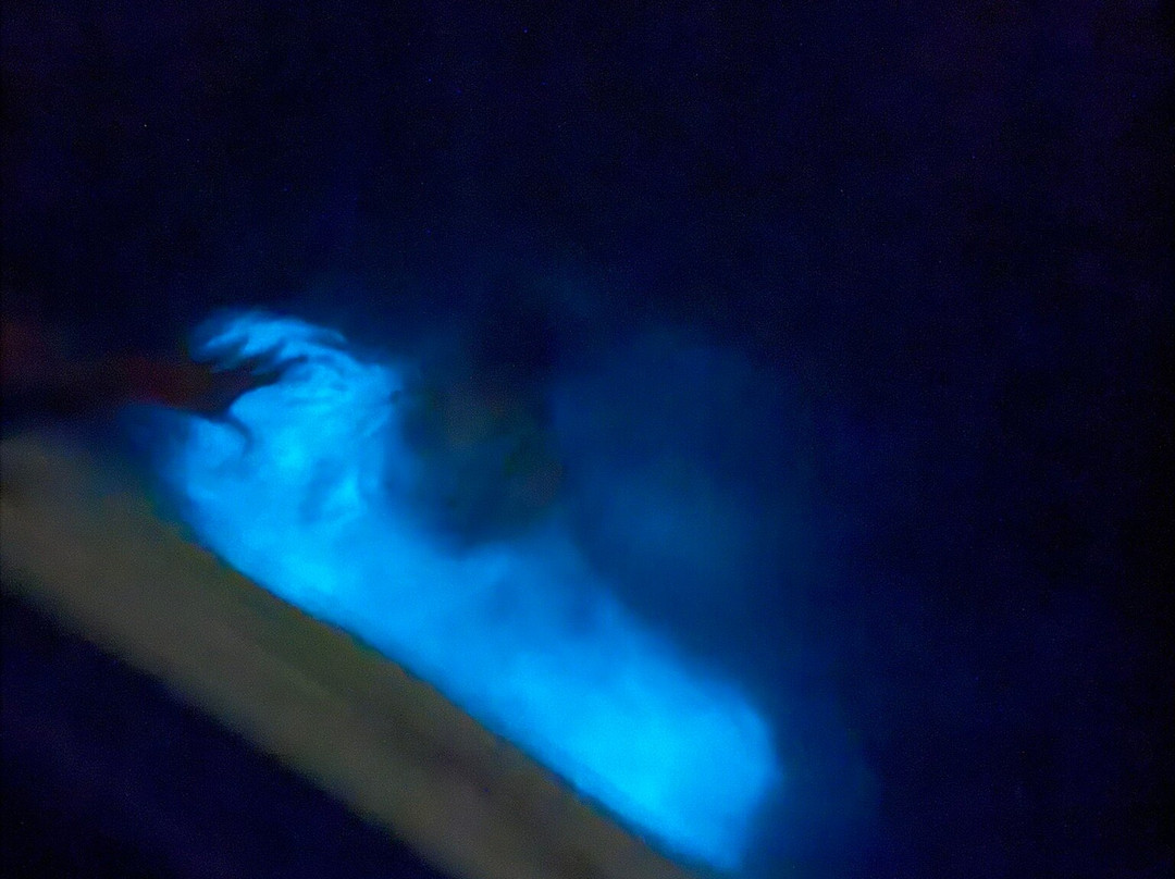 Parguera Eco Tours and Bio Bay-La Parguera必去景点