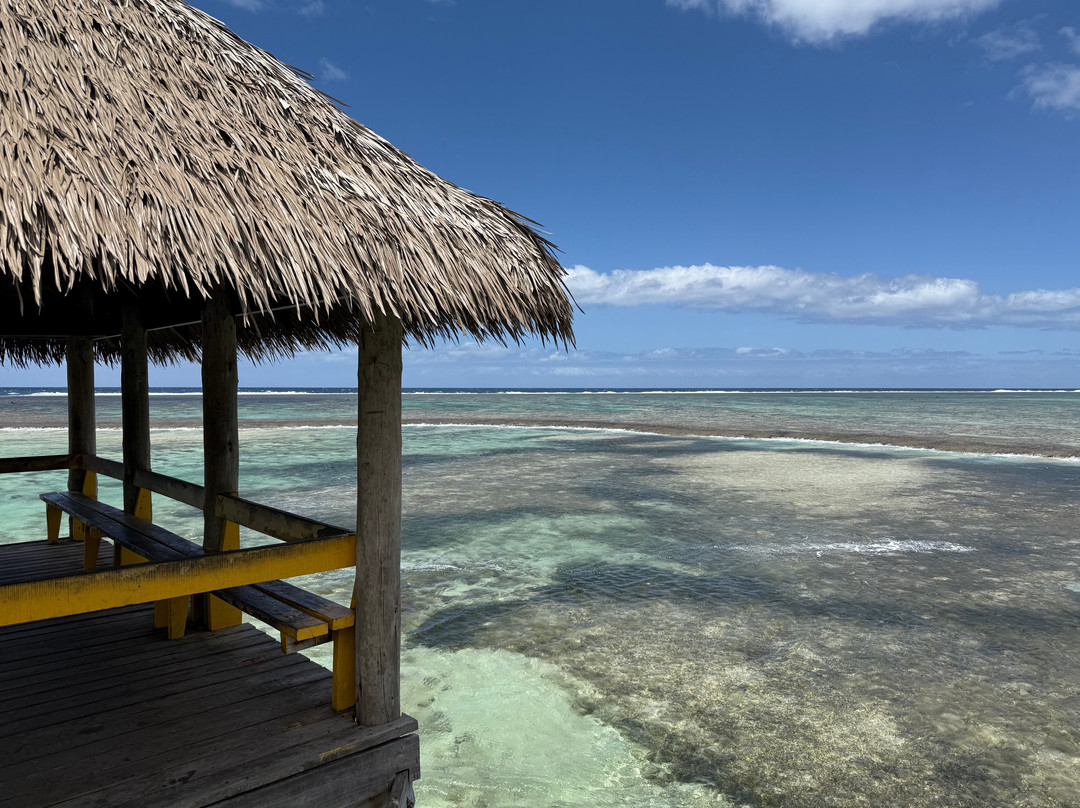 PVV Tours-纳迪市必去景点