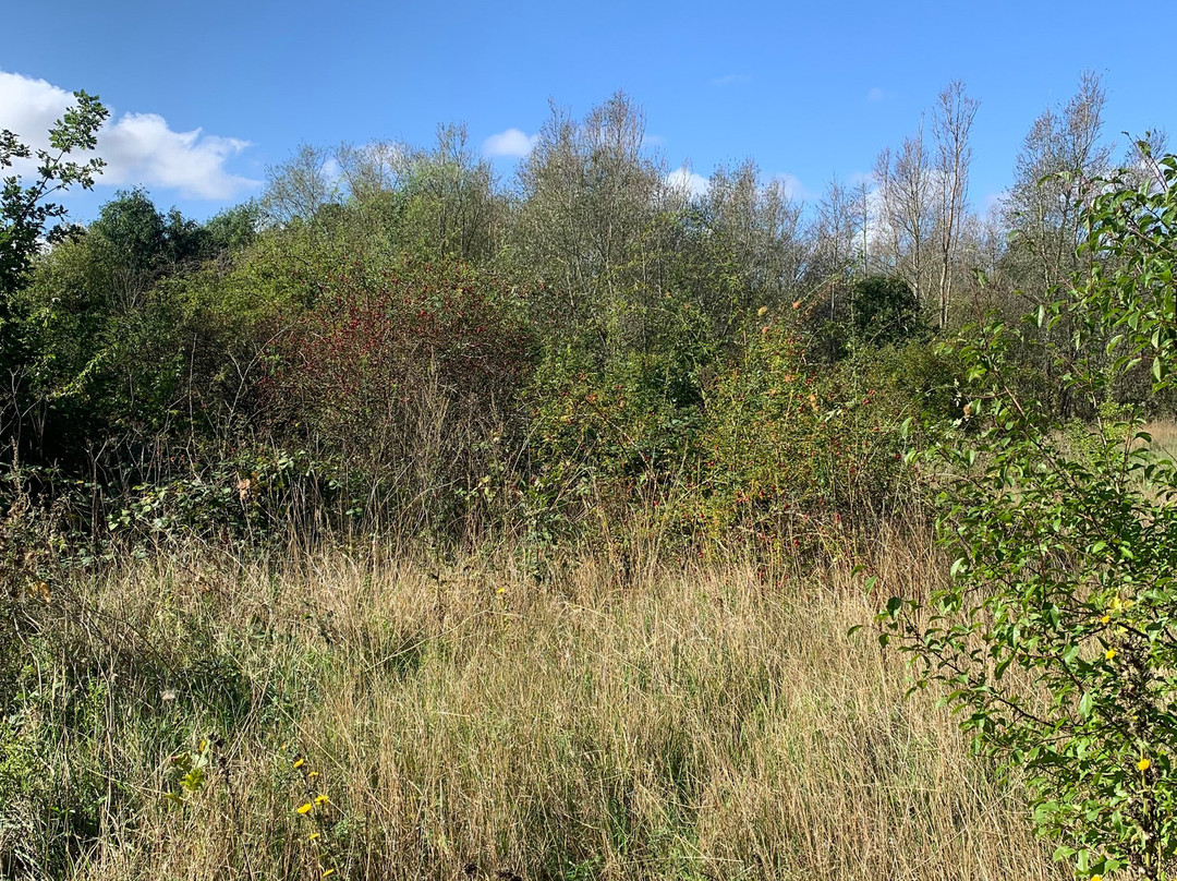 Eastbrookend Country Park-Dagenham必去景点