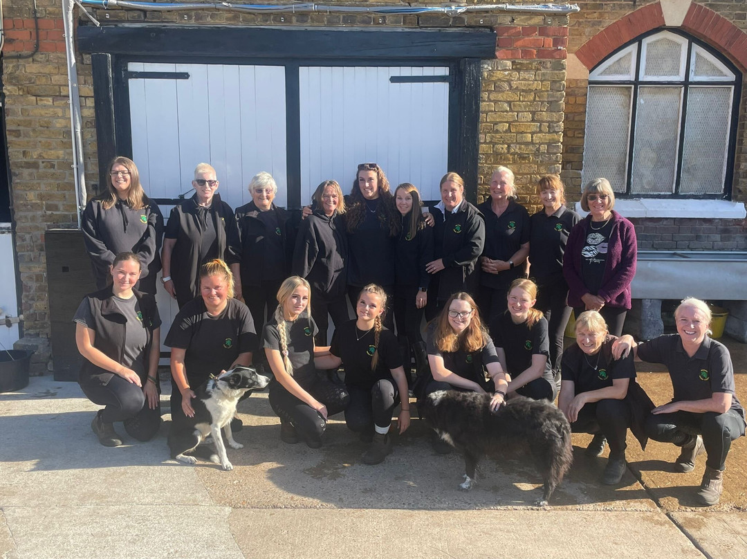 Belfairs Riding School-Leigh-on Sea必去景点