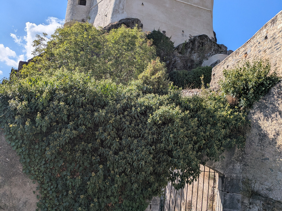 Musee de la Corse-Corte必去景点