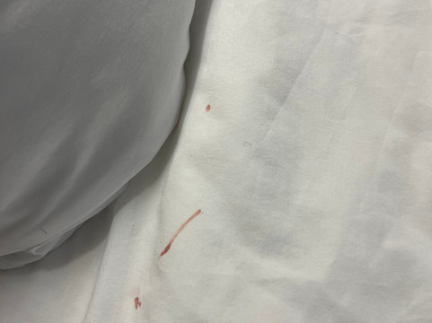 斯普林菲尔德温德姆麦客达套房酒店主图