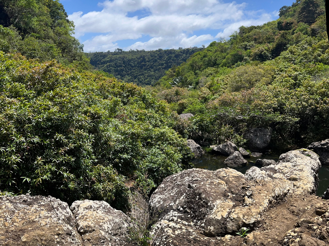 Tamarind Falls-Vacoas-Phoenix必去景点