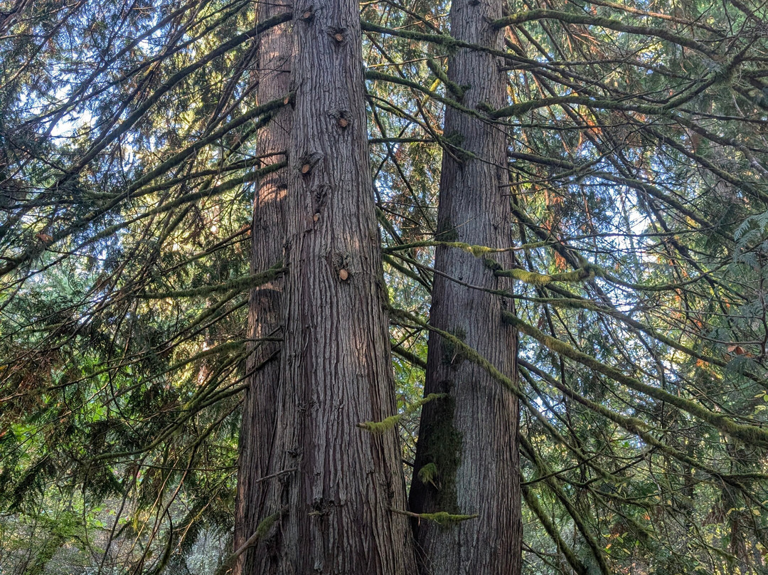 A Hidden Haven Bed and Breakfast主图