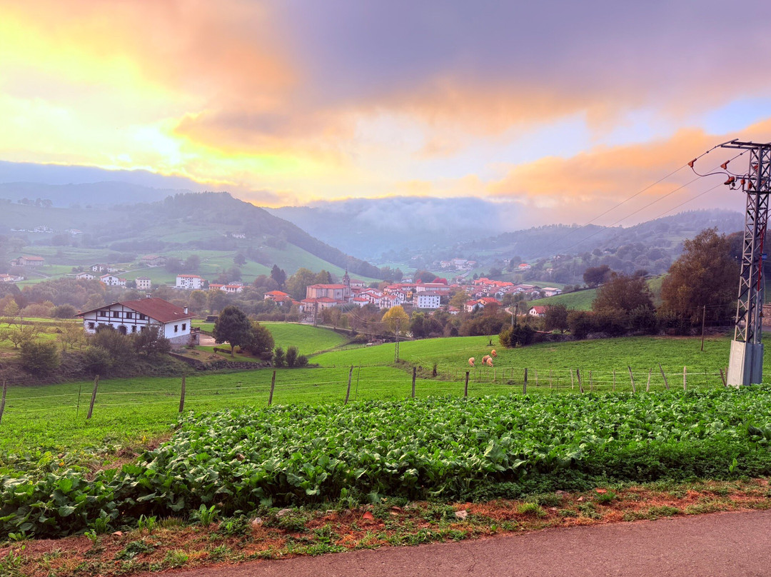 Iriarte Jauregia Hotel主图