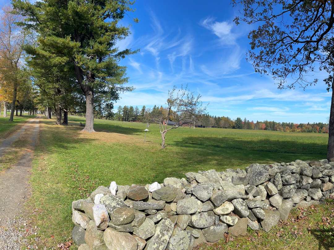Topsmead State Forest-利奇菲尔德必去景点