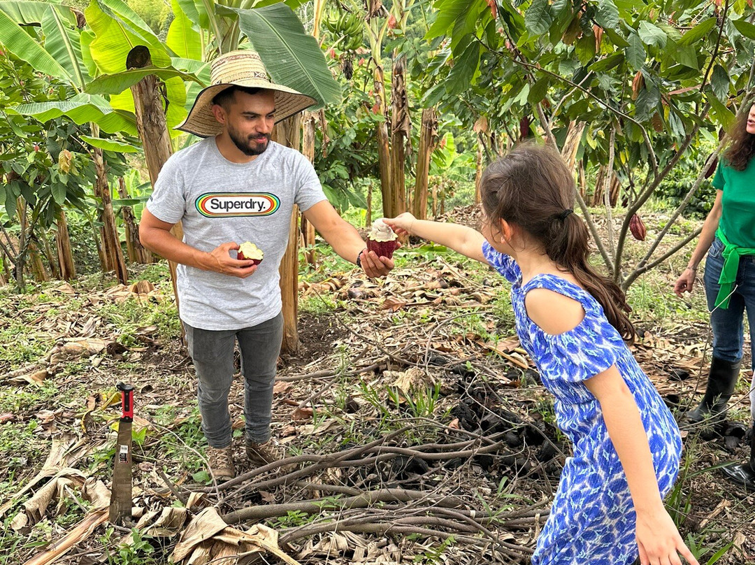 Finca Las Palmitas - Quindio-亚美尼亚必去景点