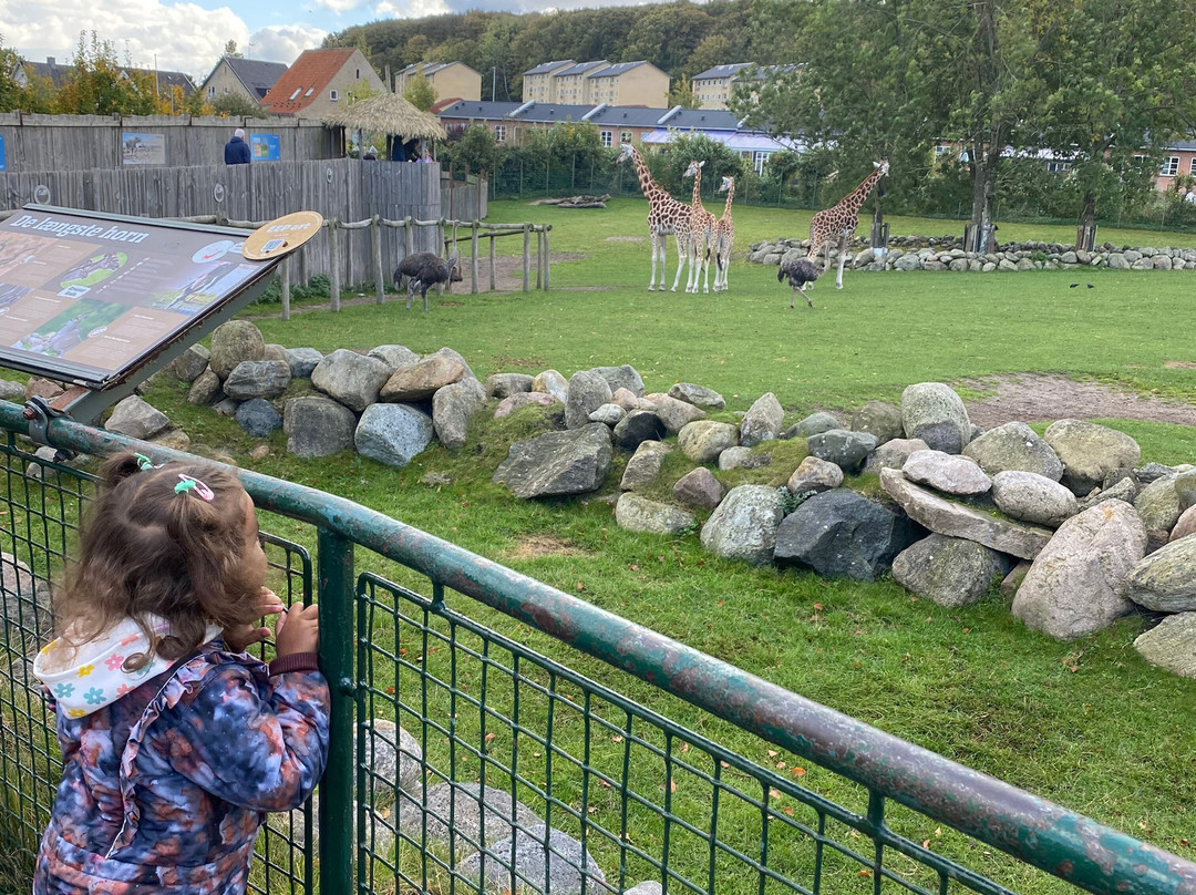 Aalborg Zoologiske Have-奥尔堡必去景点