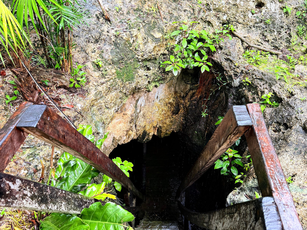 Cenote 7 Bocas-从莫雷洛斯港必去景点