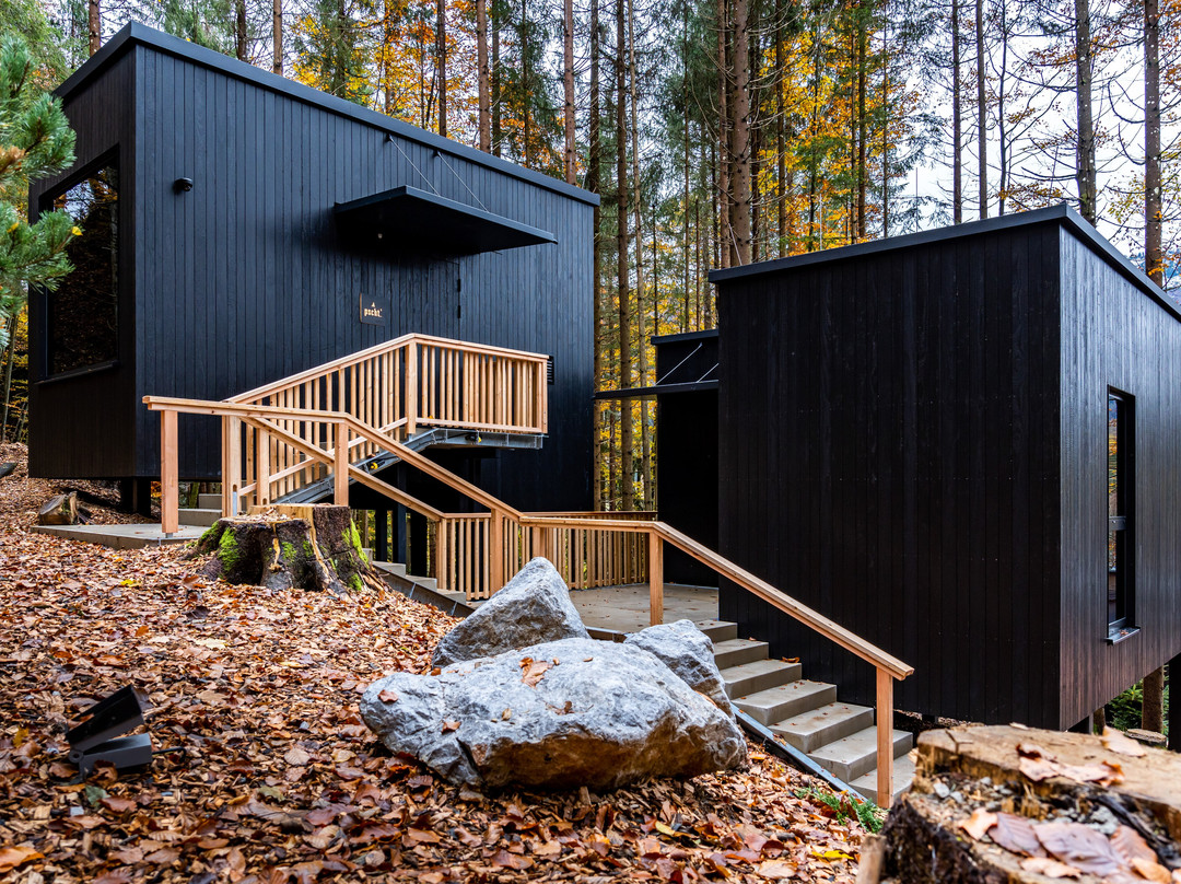 Hotel Fischerwirt Natur Waldspa主图