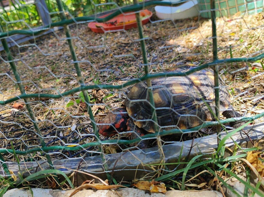 Mosteiro dos Jesuítas-Baturite必去景点