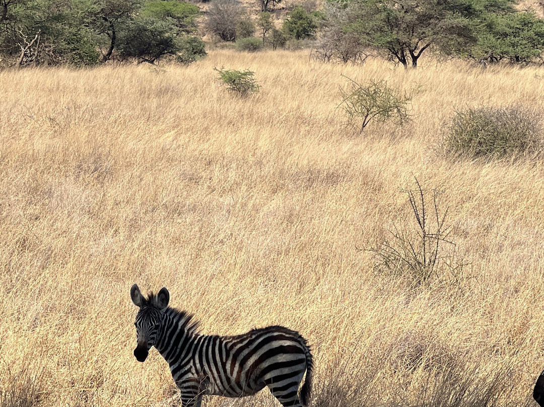 Cherish Africa Safaris-Kikuyu必去景点