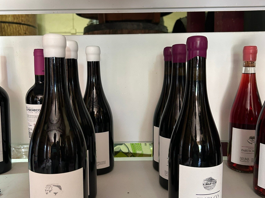 Vina Elena-Jumilla必去景点