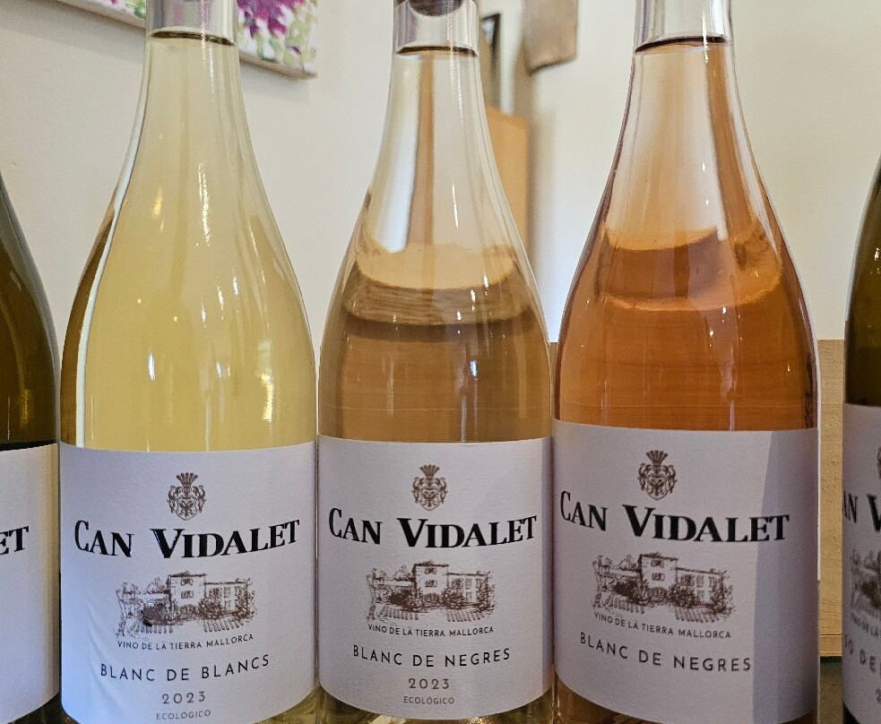 Bodegas Can Vidalet-Pollenca必去景点