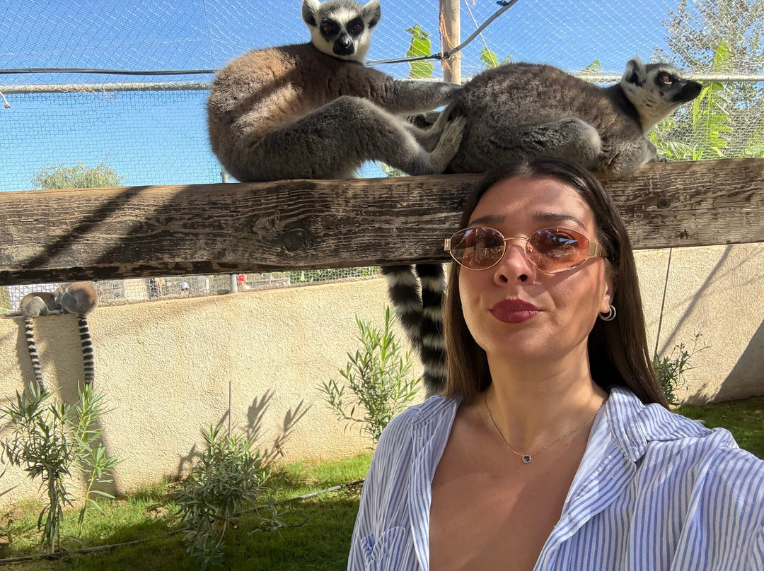 Farma of Rhodes Petting Zoo-罗德斯必去景点