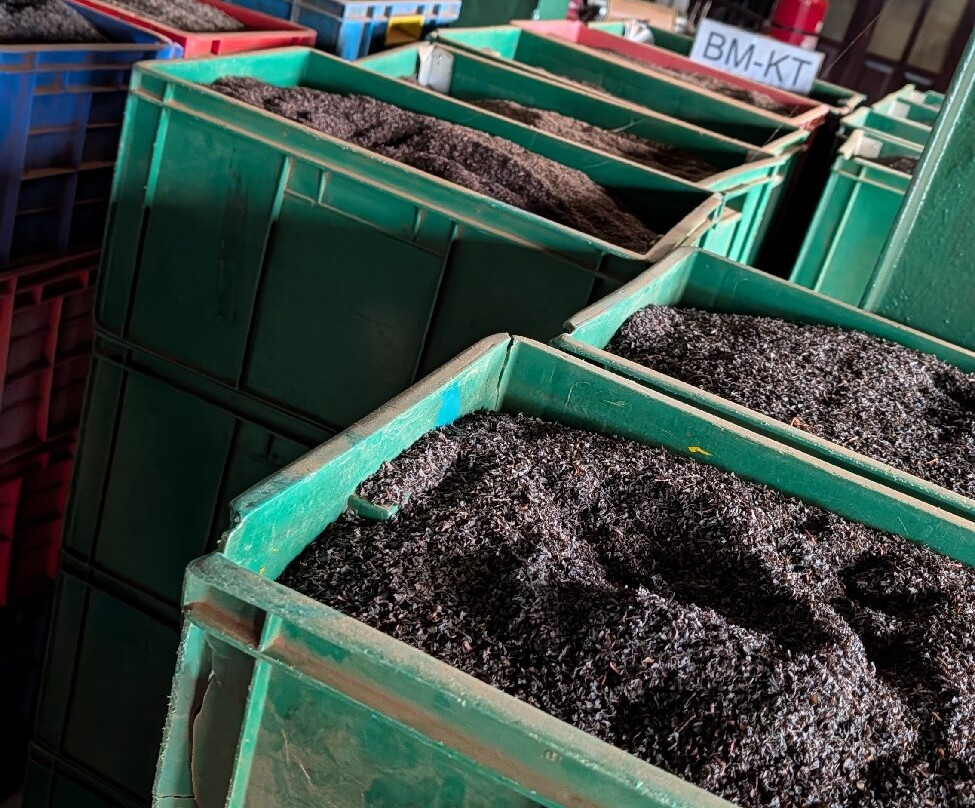 Risi Travels-加勒必去景点