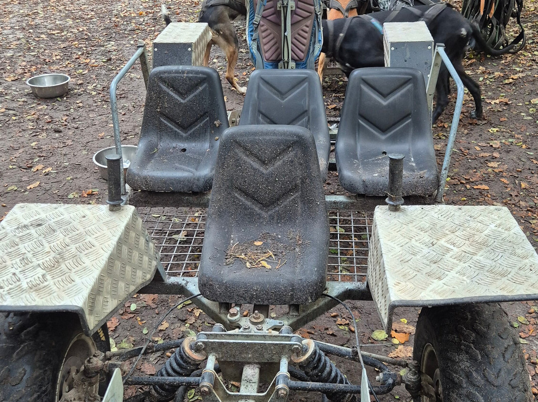 Evasion Canine-枫丹白露必去景点