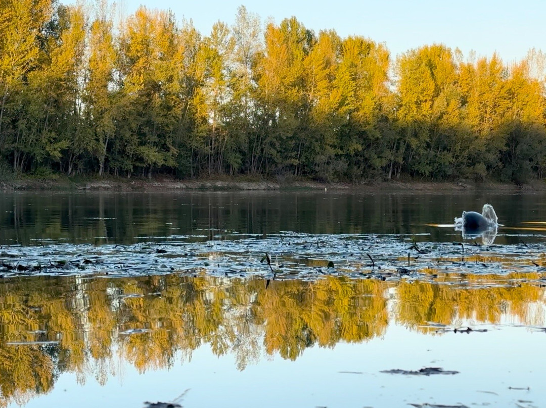 Lac De Podensac-Podensac必去景点