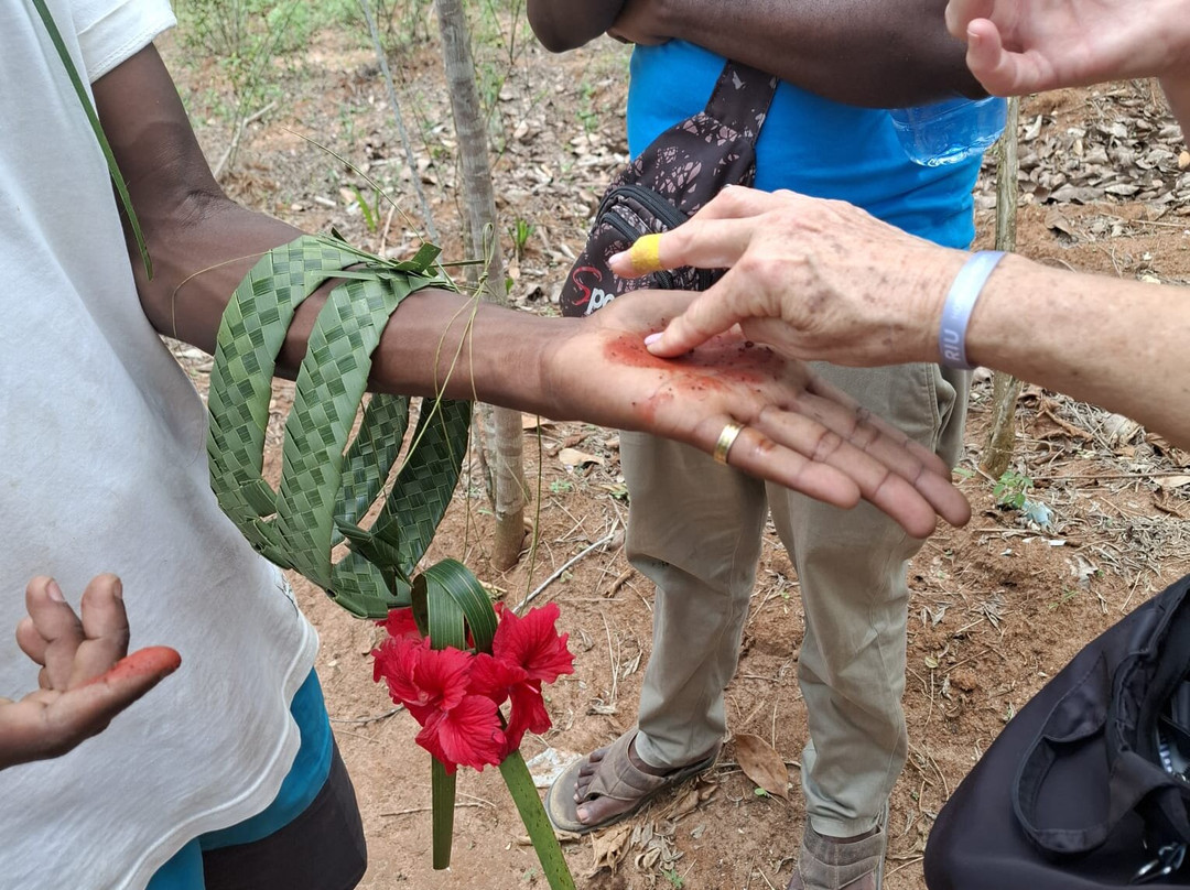 Bravo Zanzibar Travel-桑给巴尔市必去景点