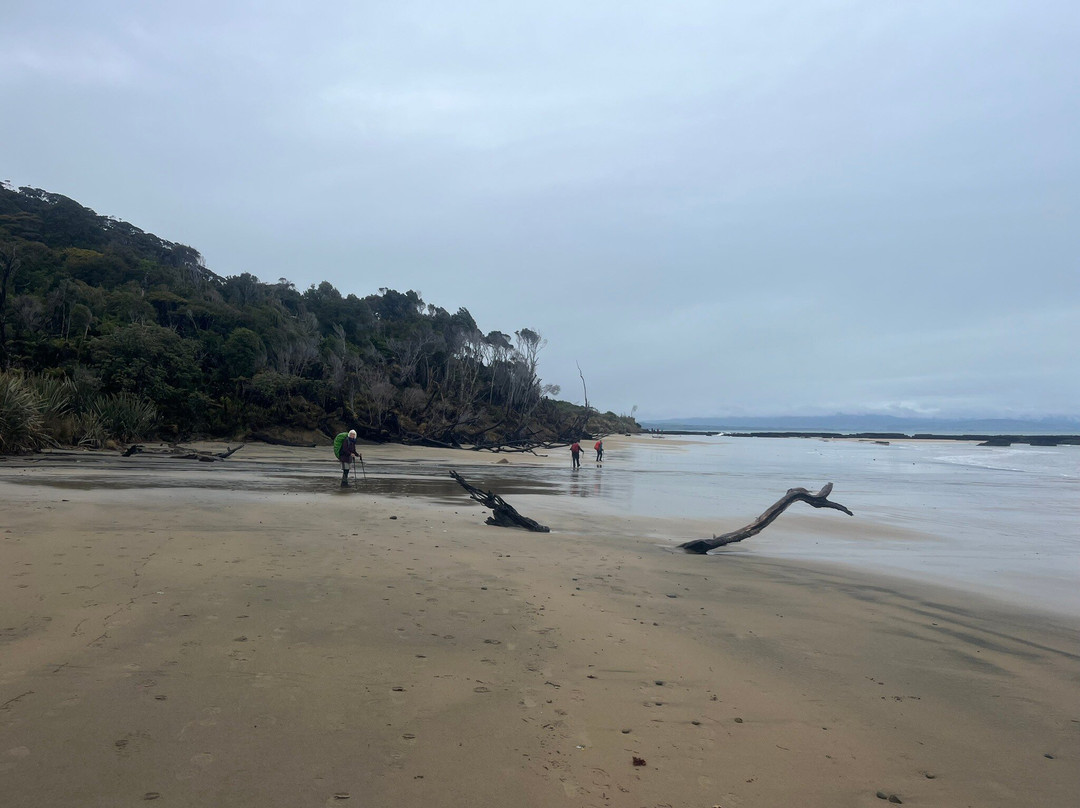 Hump Ridge Track-Tuatapere必去景点