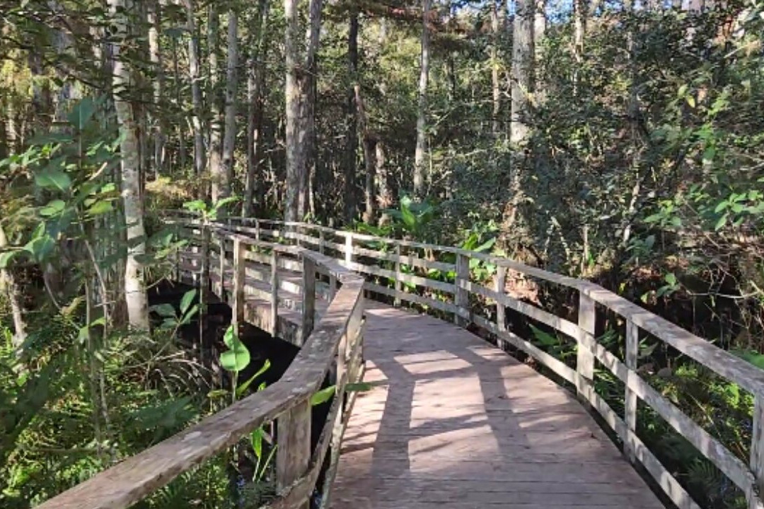 螺旋沼泽鸟兽禁猎区-那不勒斯必去景点