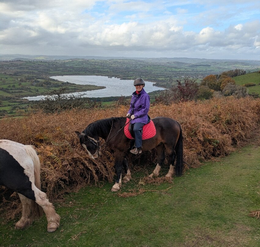 Llangorse Multi Activity Centre-Llangorse必去景点