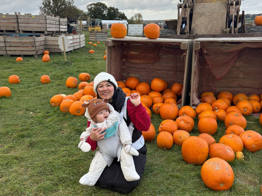 Bowthorpe Oak-Bourne必去景点