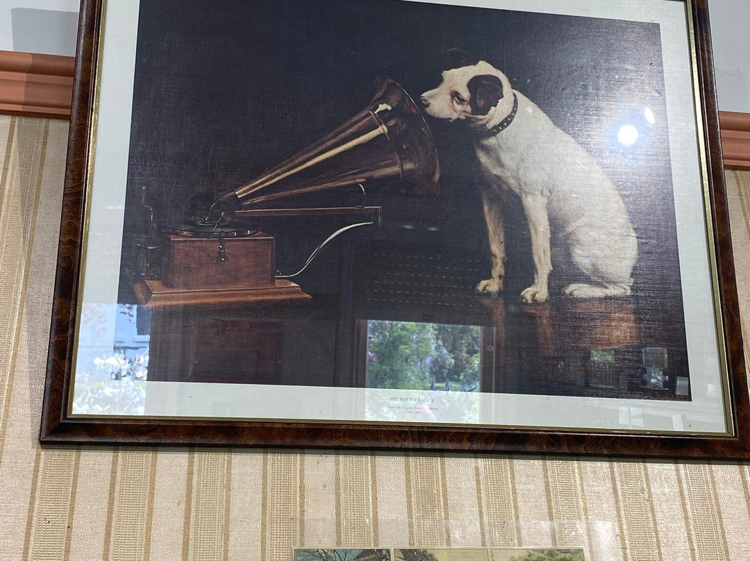 City Park Radio Museum-朗塞斯顿必去景点