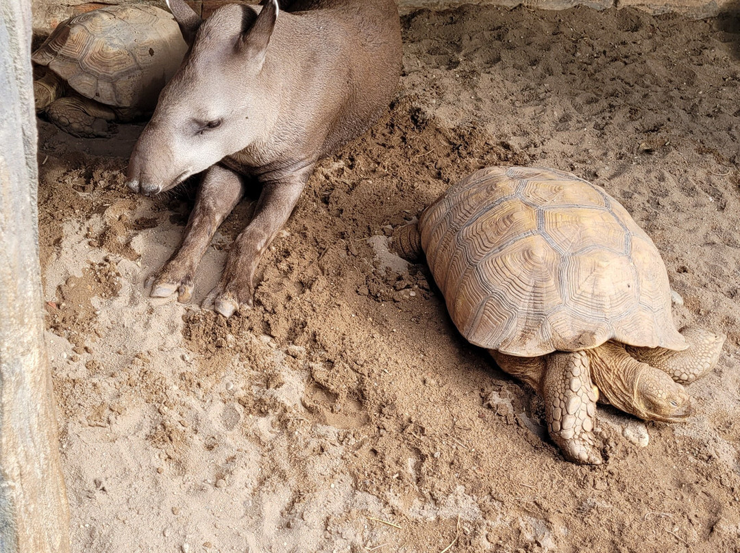 Ecopark Sol e Mar-Maragogi必去景点