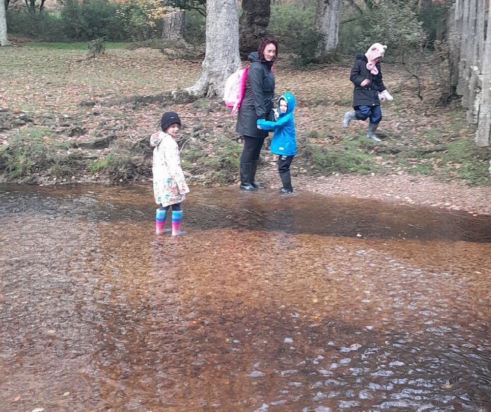 Furzey Gardens-Minstead必去景点