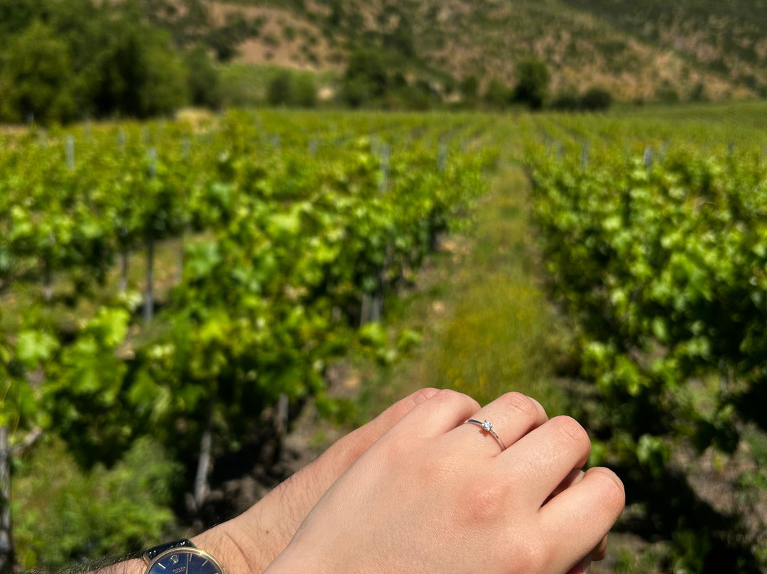 Viña Encierra-Peralillo必去景点