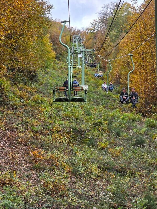 Rietburgbahn-Edenkoben必去景点