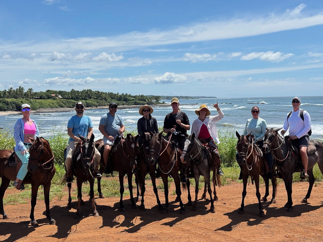 Guti Tours-Playa Avellanas必去景点