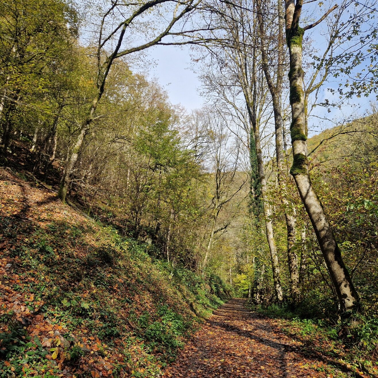 Moselromantik-Hotel Weissmuhle-官方