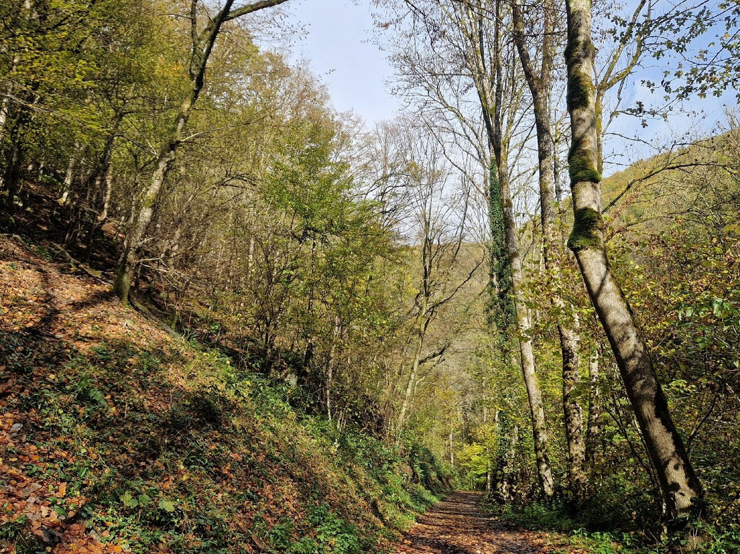 Moselromantik-Hotel Weissmuhle主图