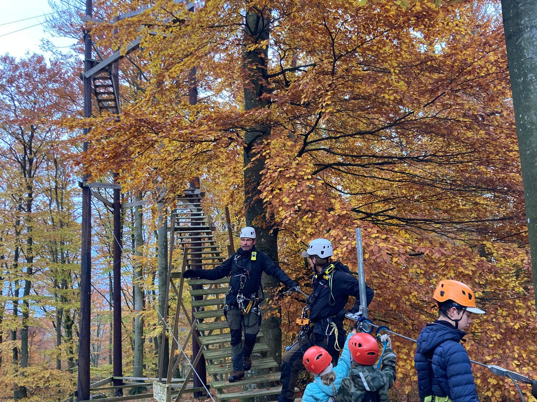 Multilevel Ziplines & Klätterpark-Hassleholm必去景点