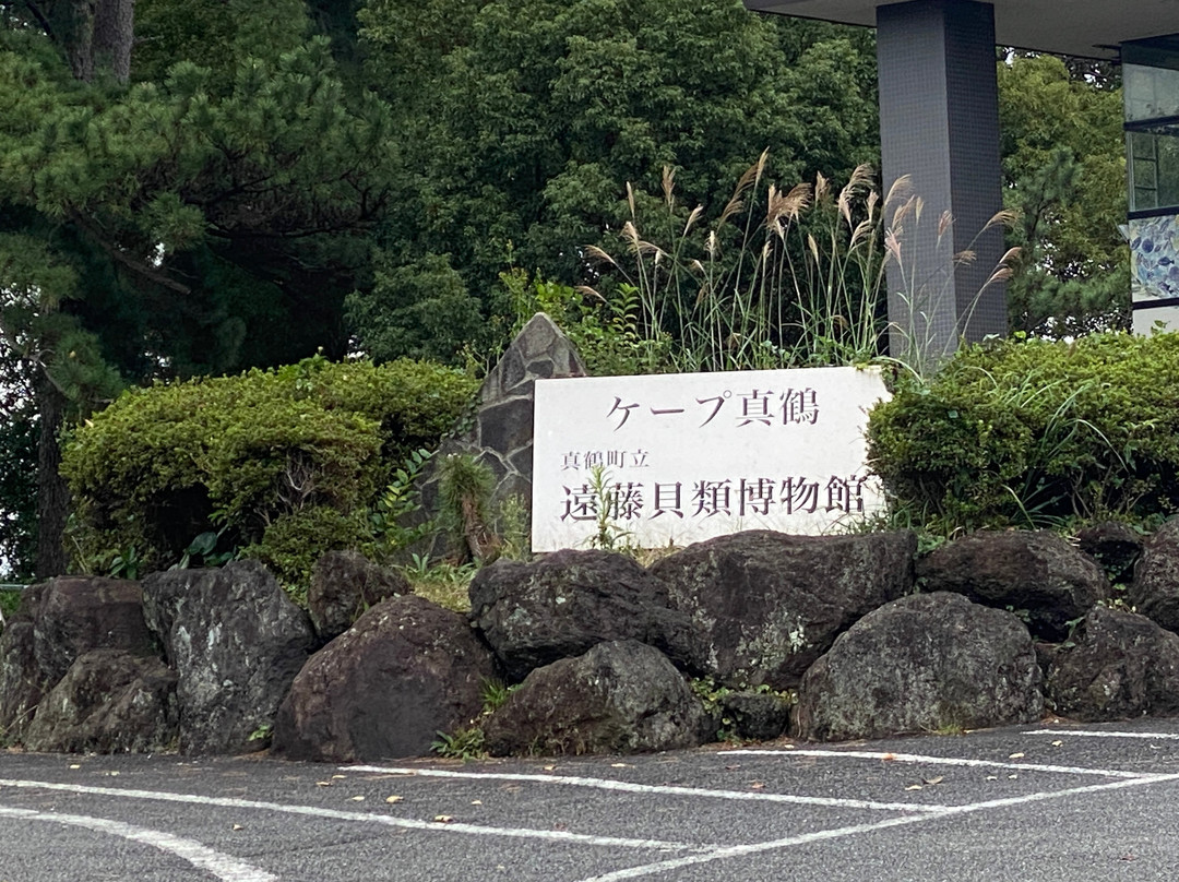 Manazuru Shell Museum-真鹤町必去景点