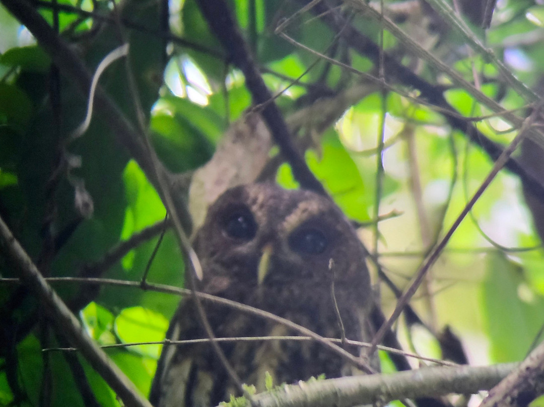 My Costa Rica-圣何塞必去景点