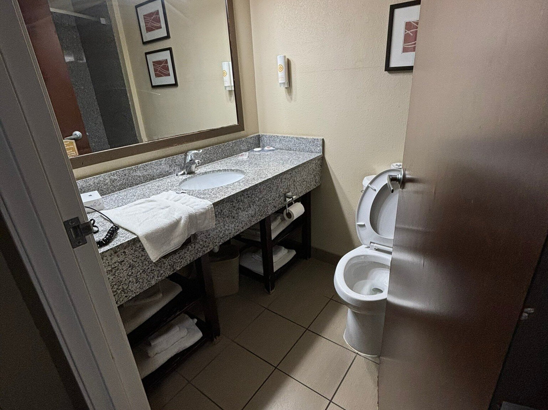 康福特茵套房酒店主图