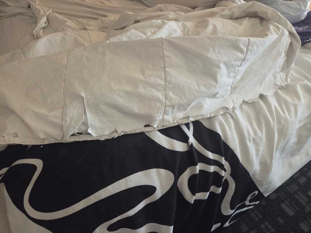 La Quinta Inn & Suites by Wyndham Monahans主图