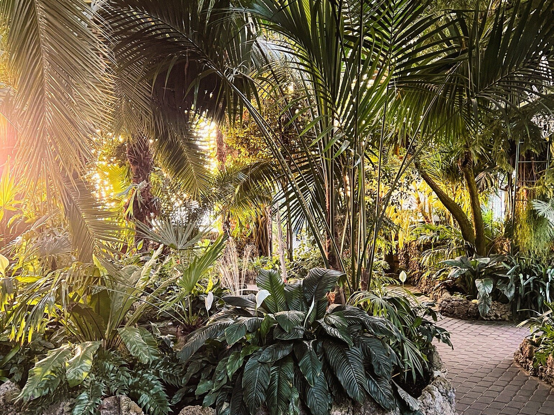 Palmiarnia Walbrzych-Walbrzych必去景点