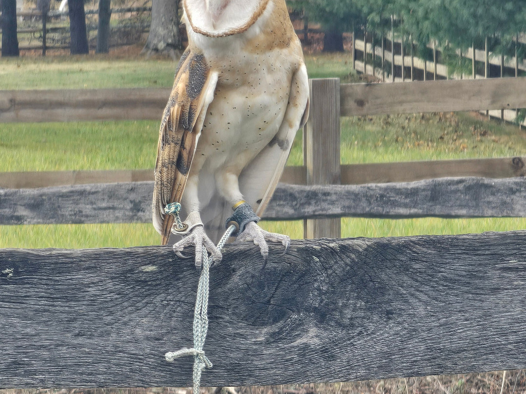 Masters Of The Skies-霍利必去景点