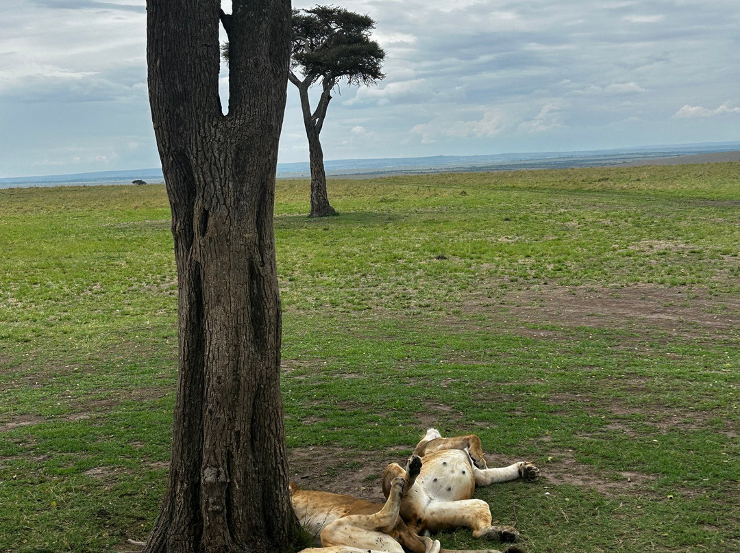 SunUp Adventures-内罗毕必去景点
