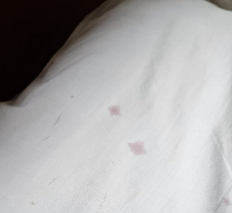 Skelwith Bridge Hotel主图