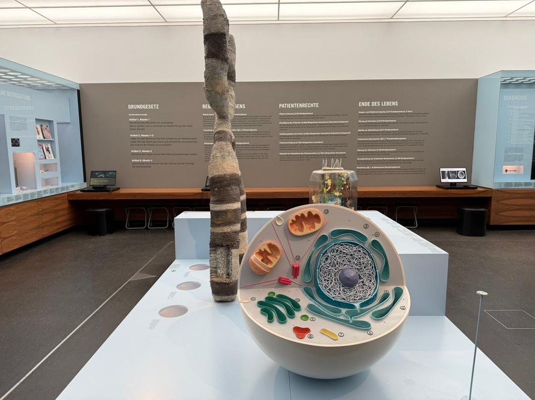 Deutsches Hygiene-Museum Dresden-德累斯顿必去景点