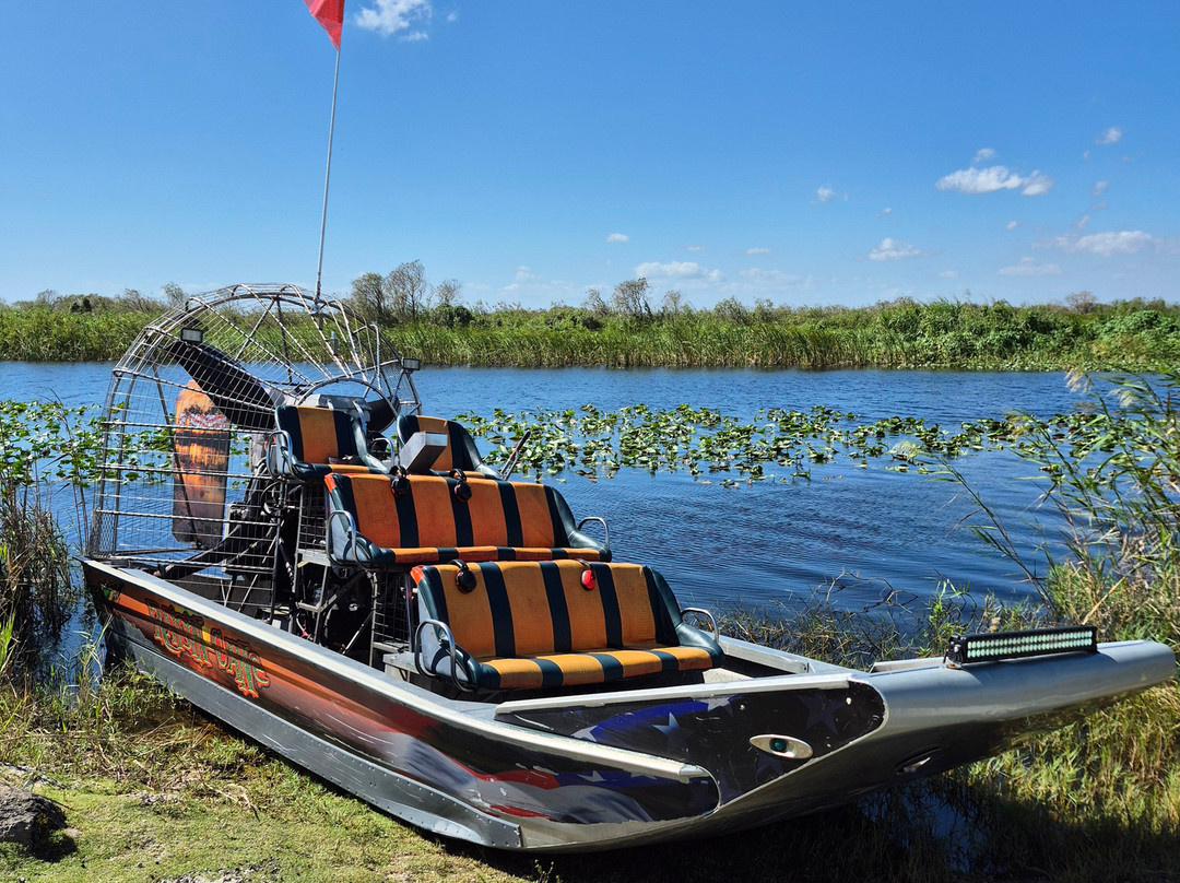 Florida Airboat Rides-庞帕诺比奇必去景点