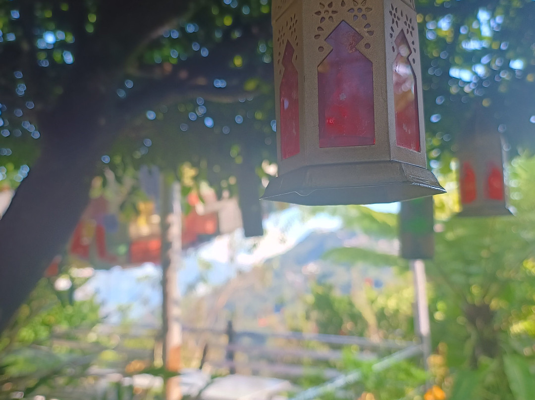 Sood's Himalayan Vista主图