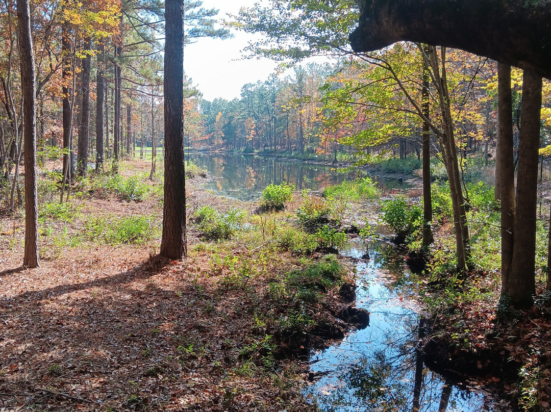 Sandhills Horticultural Gardens-派恩赫斯特必去景点