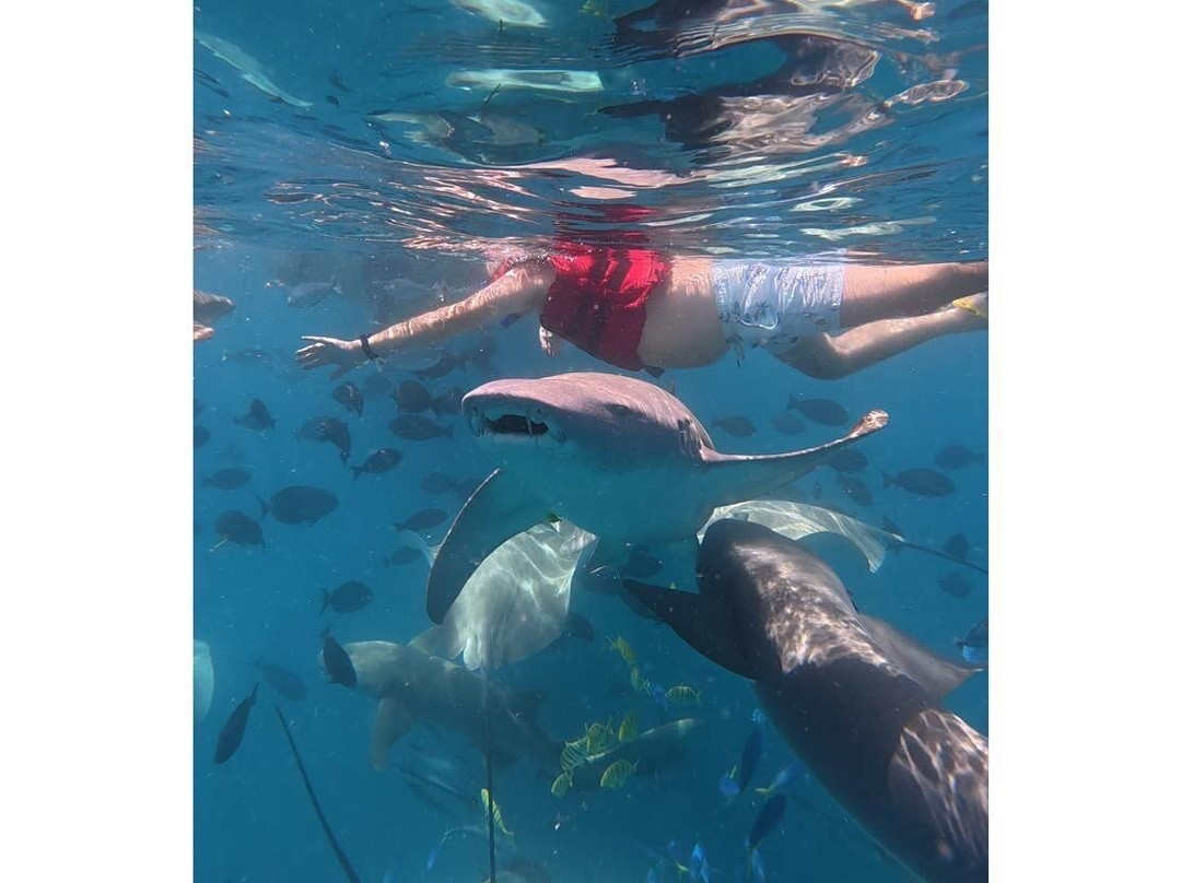 Bubbles Excursion-康杜玛岛必去景点